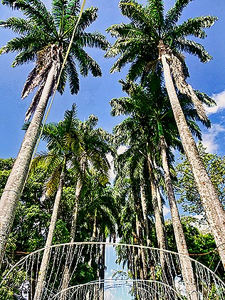 DSC03281-topaz-enhance-2x