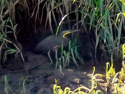 DSC03930-gigapixel-low_res-scale-6_00x