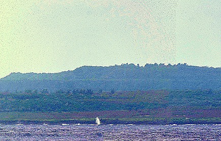 DSC05029a_stitch (1)