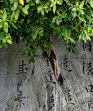 DSC05316-topaz-enhance-2x (1)