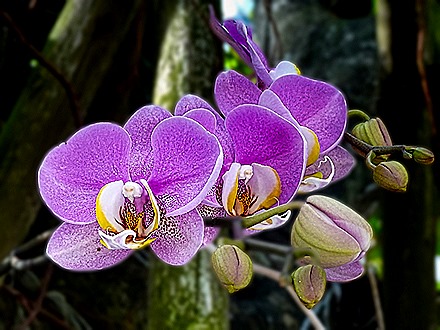 DSC05364-topaz-enhance-2x