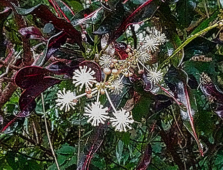 DSC05370-topaz-enhance-2x