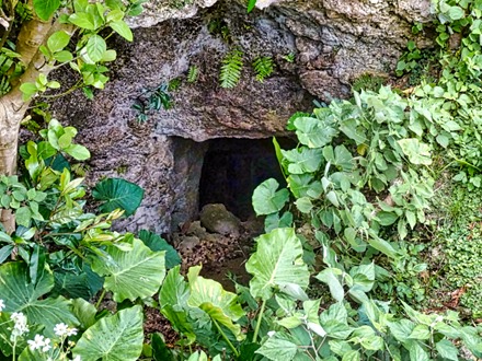 DSC05388-topaz-enhance-2x