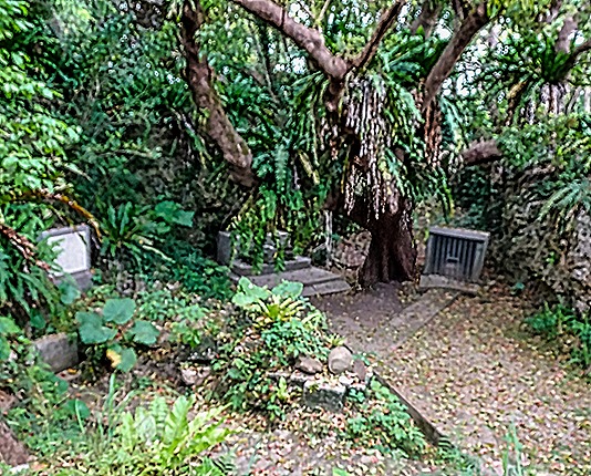 DSC05403-topaz-sharpen-enhance-2x