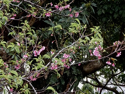 DSC05404-topaz-enhance-2x