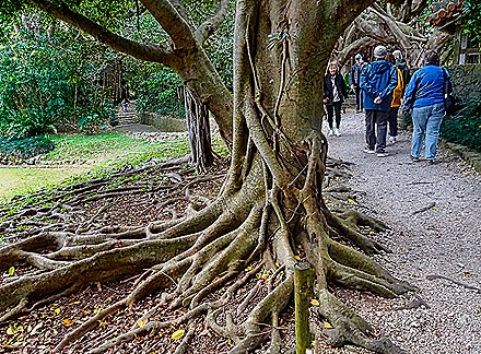 DSC05483-topaz-faceai-enhance-2x