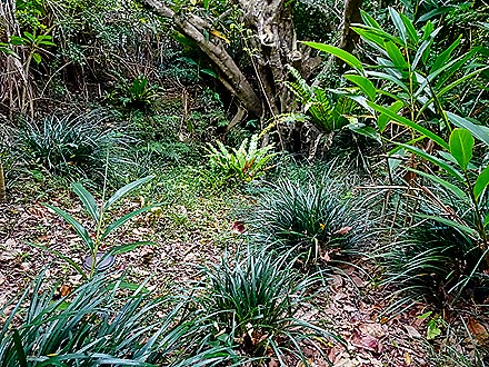 DSC05493-topaz-enhance-2x