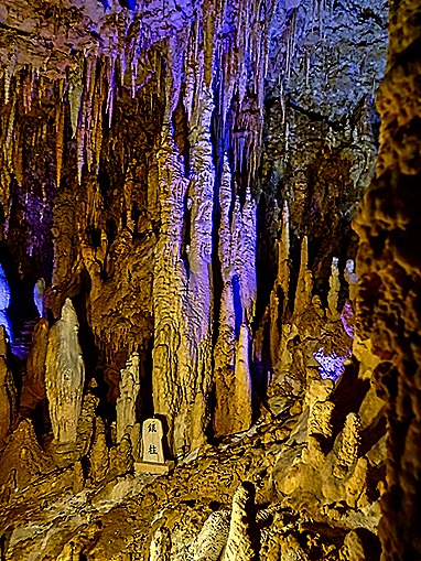 DSC05500-topaz-enhance-2x