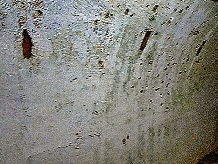 DSC05509-topaz-enhance-2x