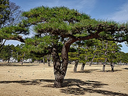 DSC05547-topaz-sharpen-denoise-enhance-2x