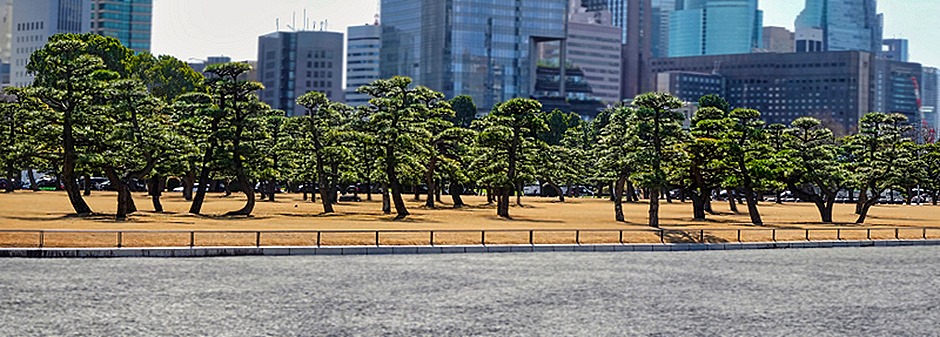 DSC05570_stitch-topaz-enhance-2x