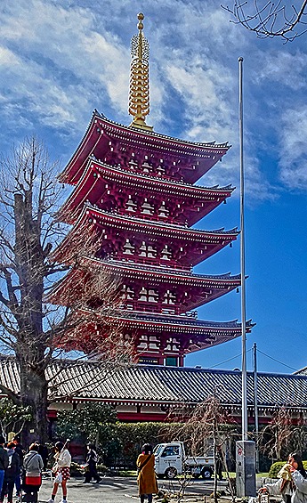 DSC05584-topaz-faceai-enhance-2x