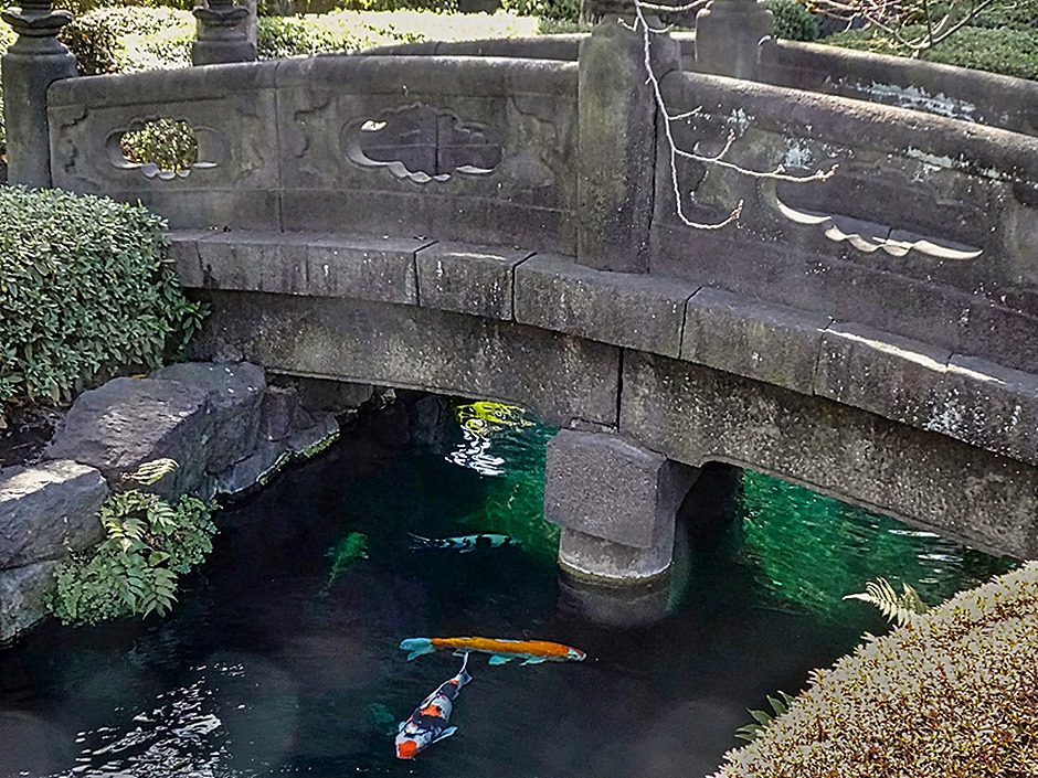 DSC05593-topaz-enhance-2x