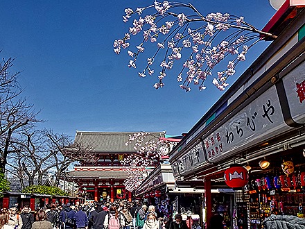 DSC05606-topaz-faceai-enhance-2x