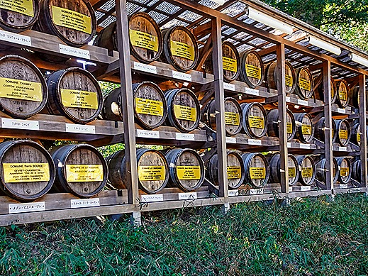 DSC05635-topaz-enhance-2x