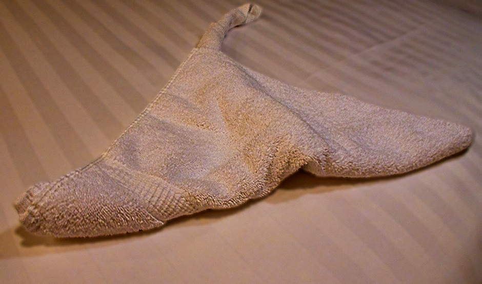 Towel manta ray on our bed