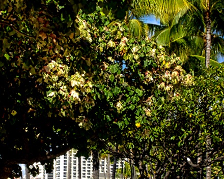 DSC00890_stitch