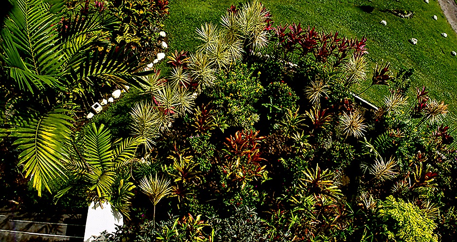 07-DSC01313_stitch