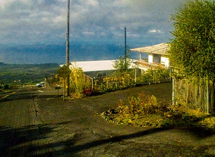 DSC01031