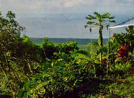 DSC01032
