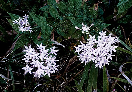 DSC01062