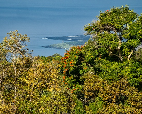 DSC01067