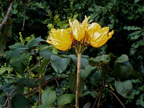 DSC01087
