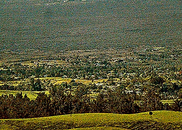 DSC01209