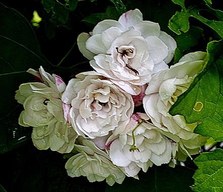 DSC01260