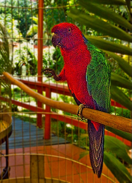 01-DSC01509