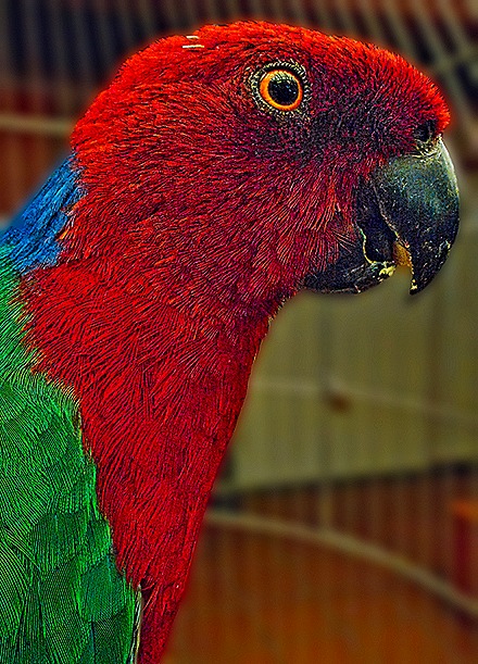 03-DSC01511