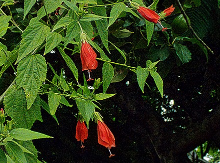 03-DSC01761