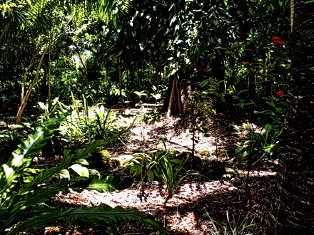 08-DSC01625