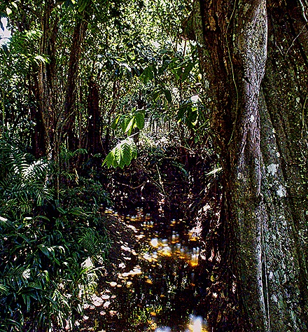 10-DSC01529_stitch