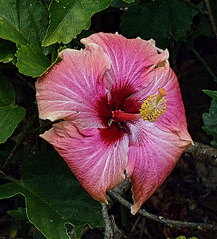 10-DSC01627