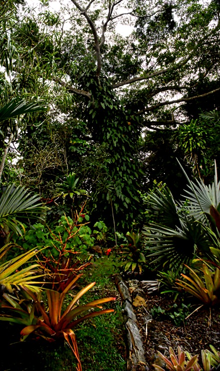 11-DSC01628_stitch