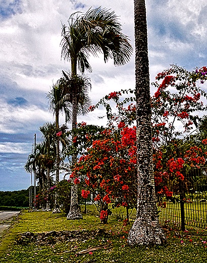 11-DSC01770