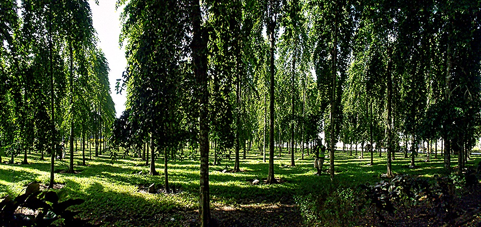 12-DSC01832_stitch