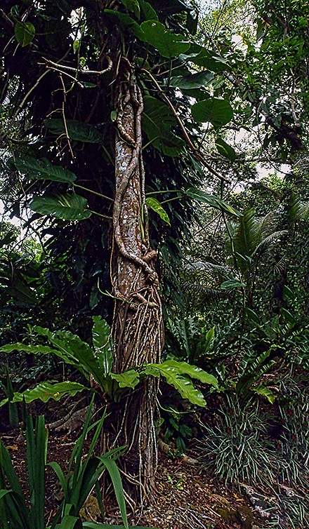 13-DSC01631_stitch