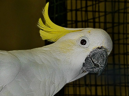 14-DSC01539