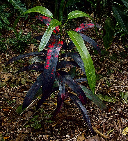 14-DSC01634