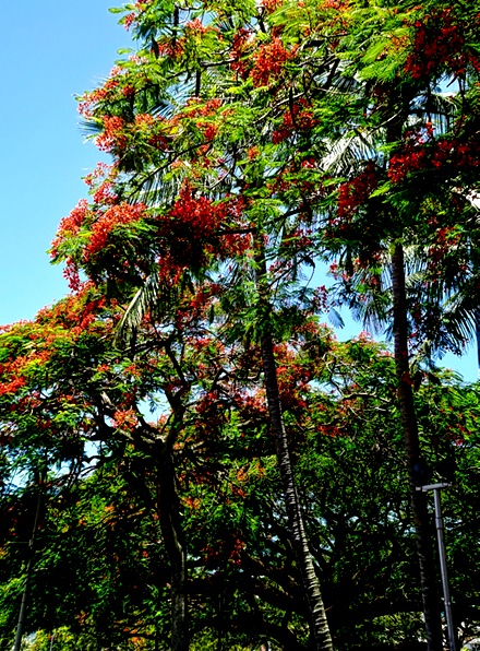 14-DSC01698