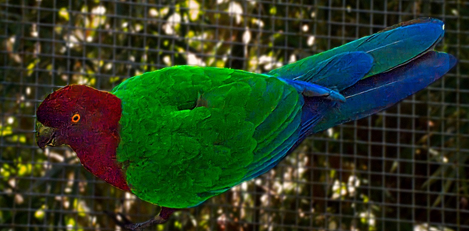 15-DSC01541