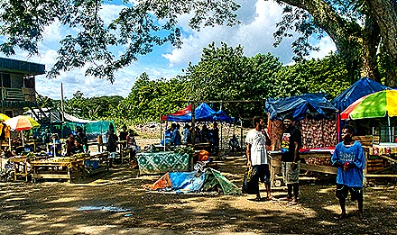 17-DSC01851