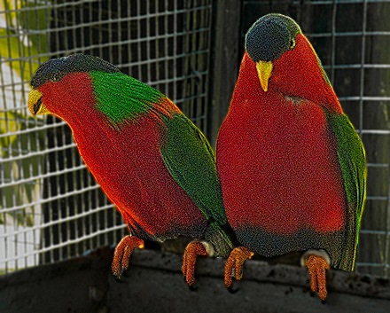 25-DSC01558