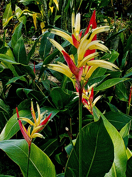 27-DSC01871