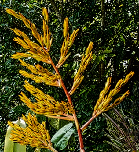 32-DSC01660