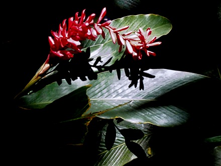 37-DSC01575