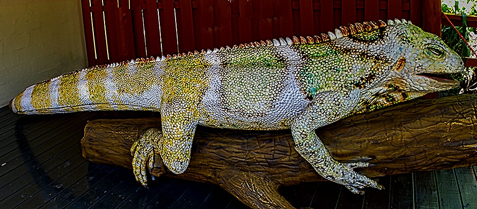 39-DSC01579_stitch