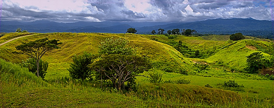48-DSC01924_stitch